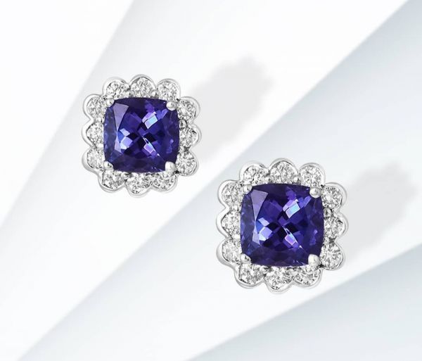 Earrings 1001099